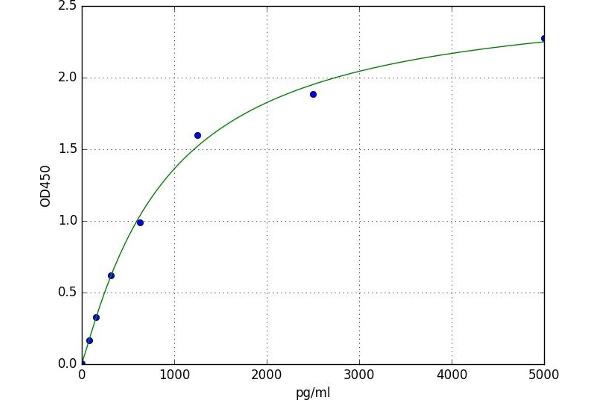 Ribokinase ELISA Kit