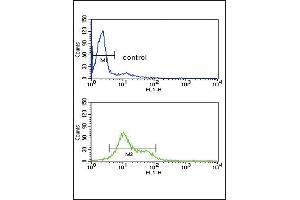 Flow cytometry analysis of HL-60 cells (bottom histogram) compared to a negative control cell (top histogram). (MDH1 antibody  (C-Term))