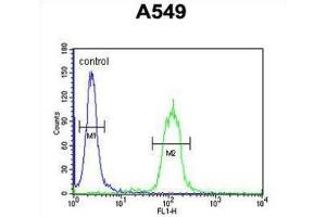 Flow Cytometry (FACS) image for anti-Clusterin (CLU) antibody (ABIN2995931) (Clusterin antibody)