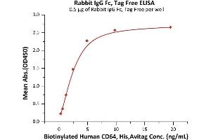 Immobilized Rabbit IgG Fc, Tag Free (ABIN6992349) at 5 μg/mL (100 μL/well) can bind Biotinylated Human CD64, His,Avitag (ABIN5954991,ABIN6253649) with a linear range of 0. (IgG Fc (AA 105-323) (Active) Protein)