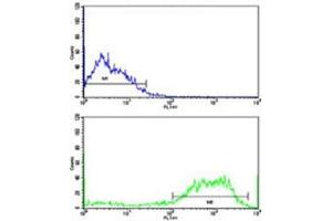 Flow cytometric analysis of SK-Br-3 cells using ABI1 antibody (bottom histogram) compared to a negative control (top histogram). (ABI1 antibody  (AA 81-108))