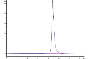 Size-exclusion chromatography-High Pressure Liquid Chromatography (SEC-HPLC) image for Interleukin 17 Receptor B (IL17RB) (AA 18-292) protein (His tag) (ABIN7274891)