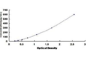 Typical Standard Curve (AGRP ELISA Kit)