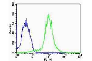 Flow cytometric analysis of MCF-7 cells using FBXL17 Isoform 2 Antibody (green) compared to an isotype control of rabbit IgG(blue). (FBXL17 antibody  (C-Term, Isoform 2))