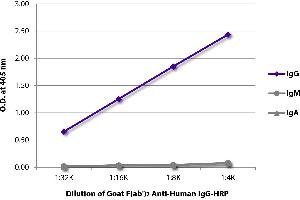 ELISA plate was coated with purified human IgG, IgM, and IgA. (Goat anti-Human IgG (Heavy Chain) Antibody (HRP))