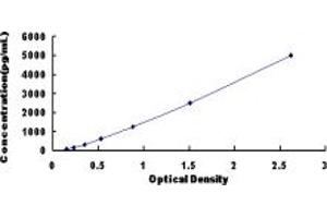 MYL9 ELISA Kit