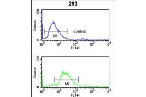 Flow cytometry analysis of 293 cells (bottom histogram) compared to a negative control cell (top histogram). (LRG1 antibody  (AA 194-223))