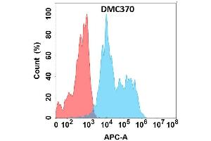 Flow cytometry analysis with Anti-AD on Expi293 cells transfected with human AD (Blue histogram) or Expi293 transfected with irrelevant protein (Red histogram). (ADGRE2 antibody)