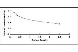 ELISA image for D-Dimer ELISA Kit (ABIN415014) (D-Dimer ELISA Kit)