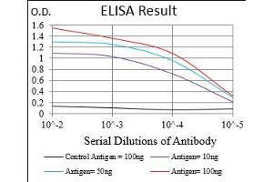 Black line: Control Antigen (100 ng), Purple line: Antigen(10 ng), Blue line: Antigen (50 ng), Red line: Antigen (100 ng), (TIE1 antibody  (AA 385-607))