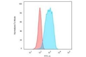 Flow Cytometric Analysis of Raji cells. (CD20 antibody)