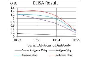 Fig. (HDAC10 antibody  (AA 18-219))