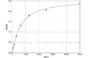 FAM19A5 ELISA Kit