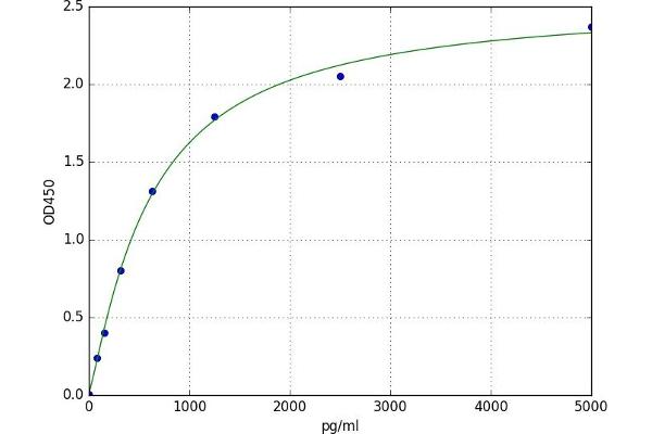 FAM19A5 ELISA Kit