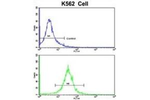 Flow Cytometry (FACS) image for anti-Complement Factor H-Related 1 (CFHR1) antibody (ABIN3002714) (CFHR1 antibody)