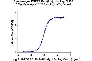 Immobilized Cynomolgus FGFR2 beta (IIIb), His Tag at 0. (FGFR2 alpha (AA 154-368) protein (His tag))