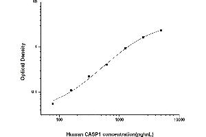 Typical standard curve (Caspase 1 ELISA Kit)