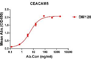 ELISA plate pre-coated by 1 μg/mL (100 μL/well) Human CEA protein, His tagged protein ABIN6961129, ABIN7042287 and ABIN7042288 can bind Rabbit anti-CEA monoclonal antibody  (clone: DM120) in a linear range of 0. (CEACAM5 antibody  (AA 35-685))