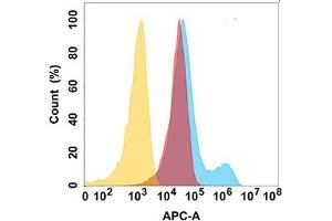 MICB antibody  (AA 23-309)