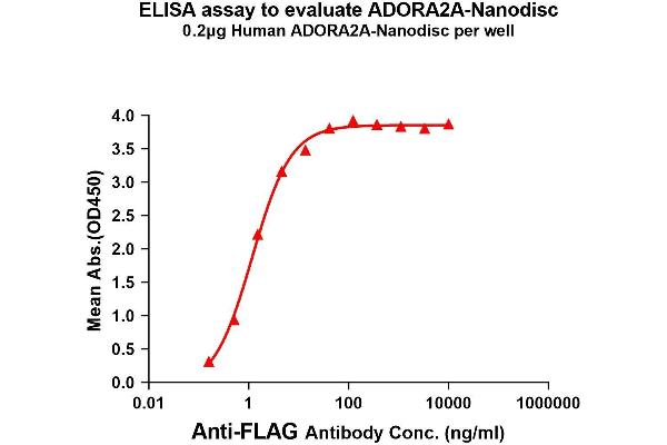 Adenosine A2a Receptor Protein (ADORA2A)