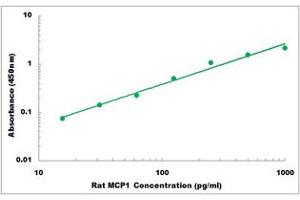 Representative Standard Curve (CCL2 ELISA Kit)