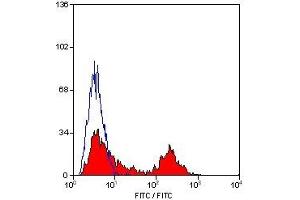 Flow Cytometry (FACS) image for anti-MHC Class II DQ/DR antibody (PE) (ABIN2475627) (MHC Class II DQ/DR antibody (PE))