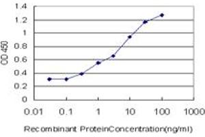 Detection limit for recombinant GST tagged ANXA10 is approximately 0. (Annexin a10 antibody  (AA 1-324))