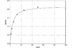 A typical standard curve (PDK4 ELISA Kit)