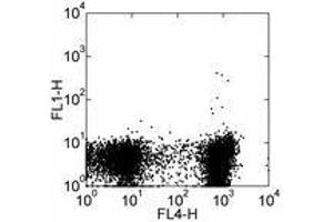 Image no. 2 for anti-Sialophorin (SPN) antibody (FITC) (ABIN473770) (CD43 antibody  (FITC))