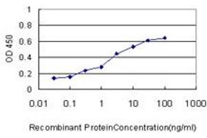 ELISA image for anti-Cystathionine-beta-Synthase (CBS) (AA 1-100) antibody (ABIN7489109)