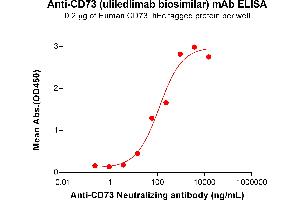 ELISA plate pre-coated by 2 μg/mL (100 μL/well) Human CD73 Protein, hFc Tag (ABIN6964149, ABIN7042505 and ABIN7042506) can bind Anti-CD73 Neutralizing antibody (ABIN7478021 and ABIN7490975) in a linear range of 3. (Recombinant CD73 (Uliledlimab Biosimilar) antibody)