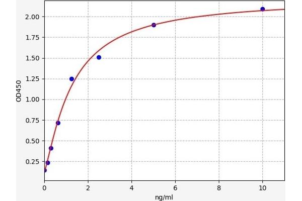 Flotillin 1 ELISA Kit