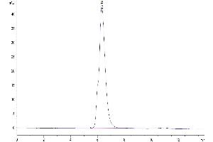 Size-exclusion chromatography-High Pressure Liquid Chromatography (SEC-HPLC) image for NKG2A & CD94 protein (mFc Tag) (ABIN7275327)