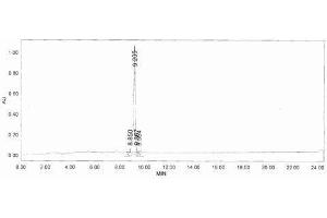 Image no. 1 for Anti-Mullerian Hormone (AMH) peptide (BSA) (ABIN5665944) (Anti-Mullerian Hormone (AMH) peptide (BSA))