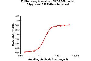 Elisa plates were pre-coated with Flag Tag C-Nanodisc (0. (CXCR5 Protein)