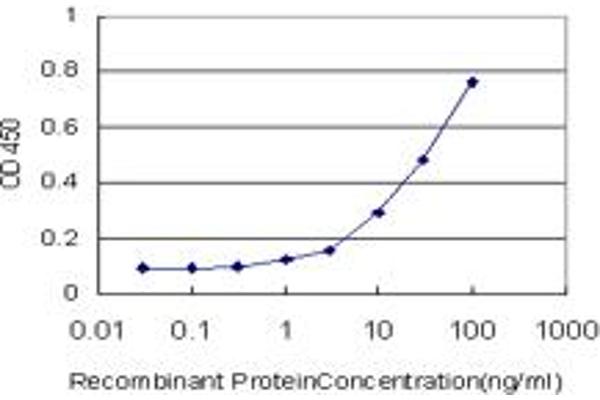 RNF17 antibody  (AA 30-139)