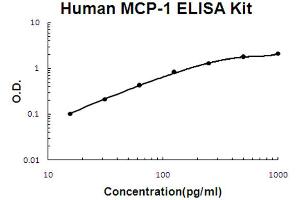 Human MCP-1 Accusignal ELISA Kit Human MCP-1 AccuSignal ELISA Kit standard curve. (CCL2 ELISA Kit)