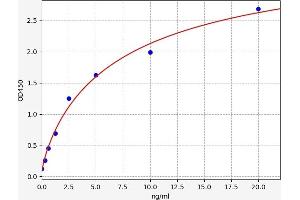 AMPK alpha ELISA Kit