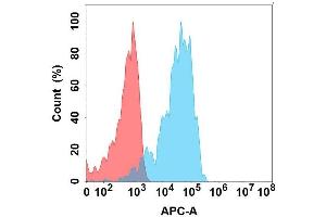 Flow cytometry analysis with Anti-AP on Expi293 cells transfected with human AP (Blue histogram) or Expi293 transfected with irrelevant protein (Red histogram). (APCDD1 antibody)