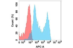 Flow cytometry analysis with Anti-B7H5 on Expi293 cells transfected with human B7H5 (Blue histogram) or Expi293 transfected with irrelevant protein (Red histogram). (VTCN1 antibody)