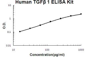 Human TGF beta 1 Accusignal ELISA Kit Human TGF beta 1 AccuSignal ELISA Kit standard curve. (TGFB1 ELISA Kit)