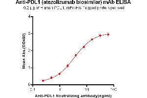 ELISA plate pre-coated by 2 μg/mL (100 μL/well) Human , mFc-His tagged protein ABIN6961096, ABIN7042221 and ABIN7042222 can bind Anti- Neutralizing antibody in a linear range of 0. (Recombinant CD274 (Atezolizumab Biosimilar) antibody)