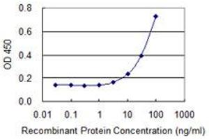 Detection limit for recombinant GST tagged MYLPF is 1 ng/ml as a capture antibody. (MYLPF antibody  (AA 1-169))