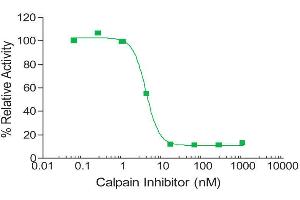 Activity Assay (AcA) image for SensoLyte® 520 Calpain Activity Assay Kit (ABIN1882423) (SensoLyte® 520 Calpain Activity Assay Kit)