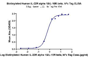 Immobilized Human IL-22, His Tag at 5 μg/mL (100 μL/well) on the plate. (IL-22R alpha 1 & IL-10R beta (AA 16-228) protein (Fc-Avi Tag,Biotin))