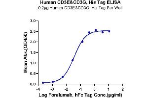 ELISA image for CD3E & CD3G protein (His tag) (ABIN7274144)