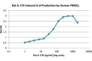 SDS-PAGE of Rat Interleukin-17E (IL-25) Recombinant Protein Bioactivity of Rat Interleukin-17E (IL-25) Recombinant Protein. (IL-25 Protein)