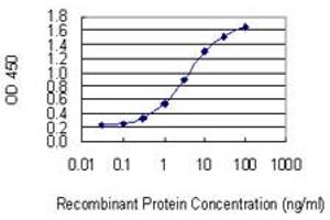 Detection limit for recombinant GST tagged KIF1C is 0. (KIF1C antibody  (AA 1004-1103))