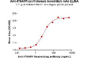 ELISA plate pre-coated by 2 μg/mL (100 μL/well) Human IF Protein, mFc Tag ABIN7455464, ABIN7490866 and ABIN7490868 can bind Anti-IF Neutralizing antibody (ABIN7478013 and ABIN7490965) in a linear range of 1. (Recombinant IFNAR1 (Anifrolumab Biosimilar) antibody)