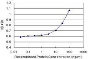 Sandwich ELISA detection sensitivity ranging from 3 ng/mL to 100 ng/mL. (PRDX3 (Human) Matched Antibody Pair)